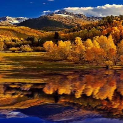 美高梅mgm集团4688