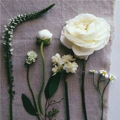 江南JNTY官网下载